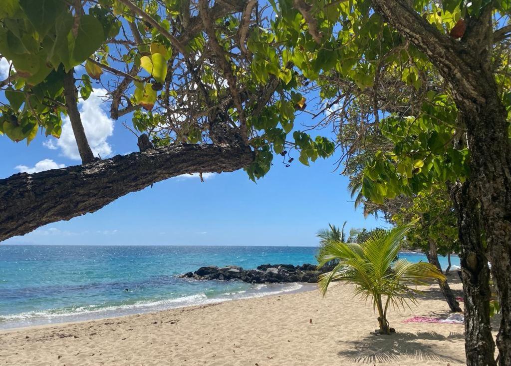 Les Hibiscus Apartment Sainte-Luce Bagian luar foto