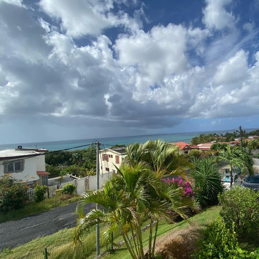 Les Hibiscus Apartment Sainte-Luce Bagian luar foto